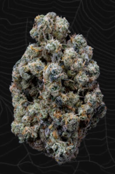 Organic Crunch Berries