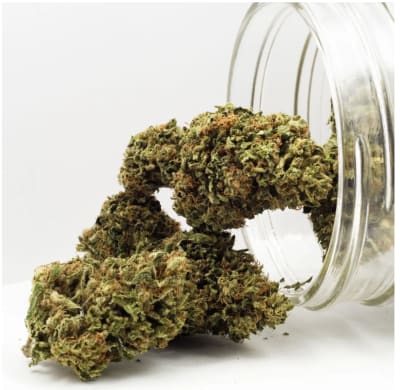 Day Dreamin' Infused CBD Flower