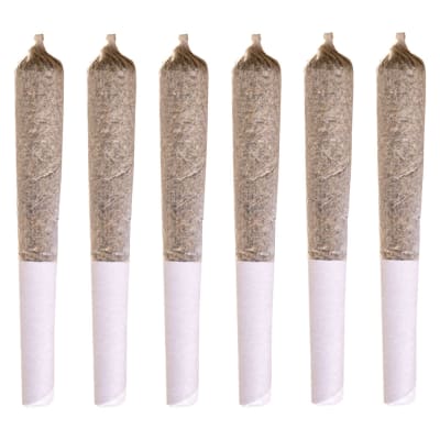 Jack Herer Pre-Rolls - 6x0.5g Sativa
