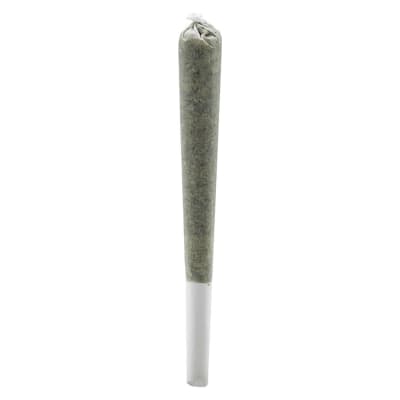 Fire OG Rosin Roll Infused Pre-Roll 0.5g