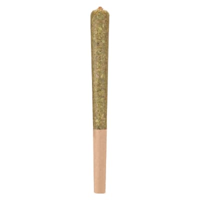 Rocketeer Infused Pre-Roll 1x1g