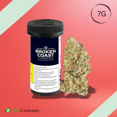 Platinum Pave by Broken Coast - PLATINUM PAVE - 7G (INDICA)