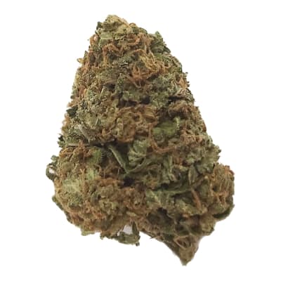 Niagara Own Indica