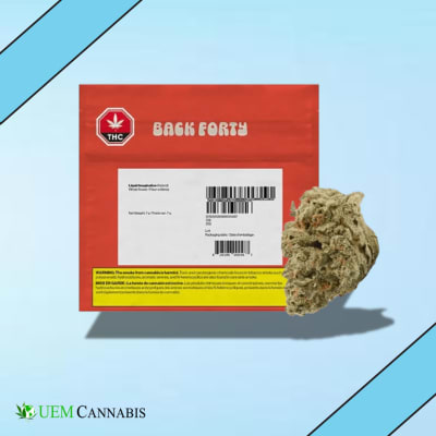7G - Liquid Imagination by Back Forty - LIQUID IMAGINATION - 7G (HYBRID)
