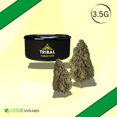 Cuban Linx by Tribal - CUBAN LINX - 3.5g (SATIVA)