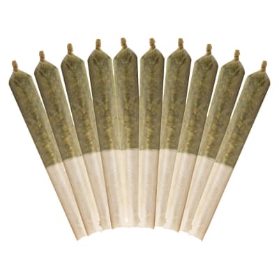 Glue Pre Rolls 10x0.5g Indica