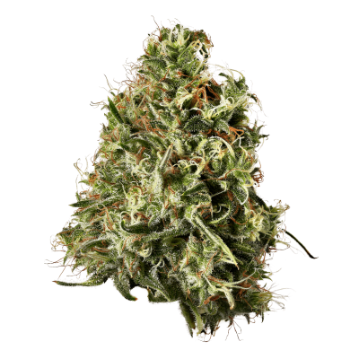 CBD Balanced Rntz 3.5g