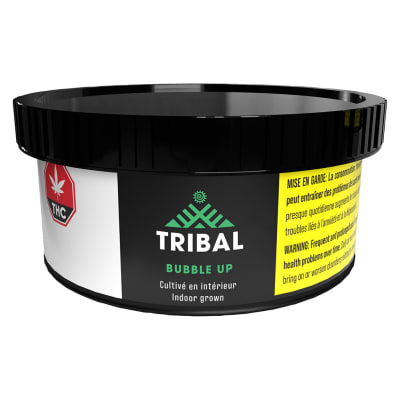 Tribal - Bubble Up - 3.5g Indica