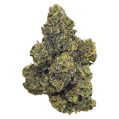Purple Octane - 7g Indica