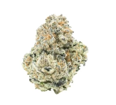 BC ORGANIC GRAPE CREAM CAKE