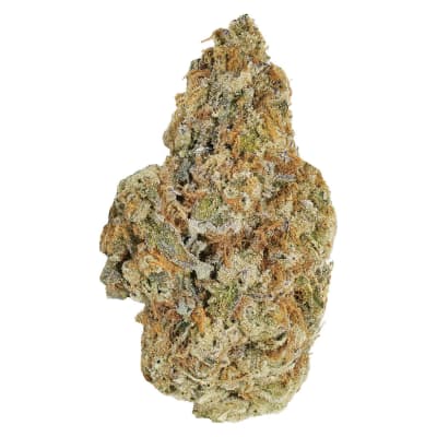 P.s. Cheetah - 7g Hybrid