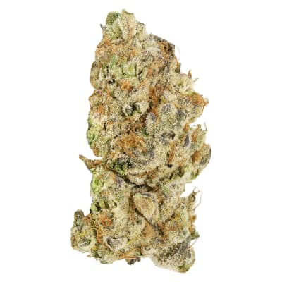 Broken Coast - Platinum Pave - Indica