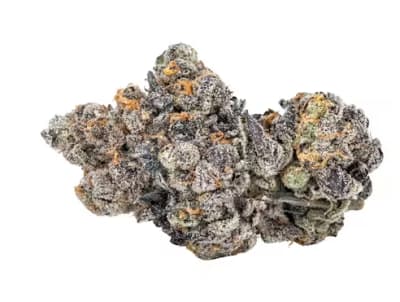 Gas Face | 14g🔥⛽️