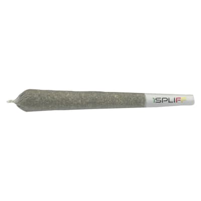 Pineapplex Pre-Roll 2-pack | 2g