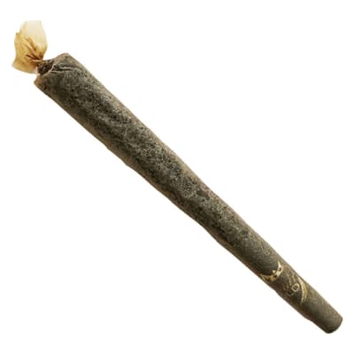 Apple Drip Glass Tip Infused Pre-Roll - 1x1.3g Indica