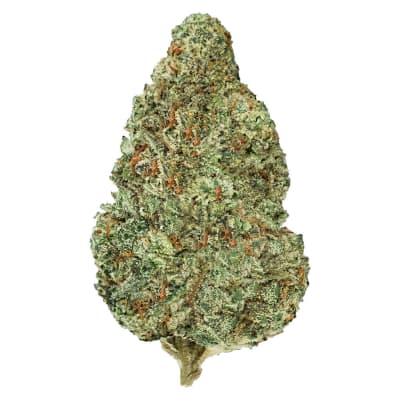 Chemzilla - 14g Indica