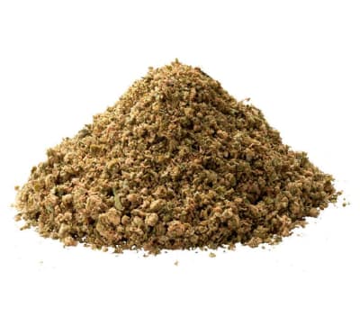The Mosh Pit