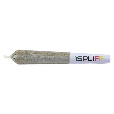 Pink Lemonade Pre-roll | 1x0.5g