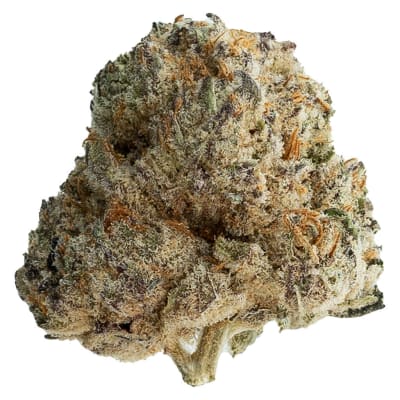 Shot Caller - Original Dankster - Hybrid - Dried Flower