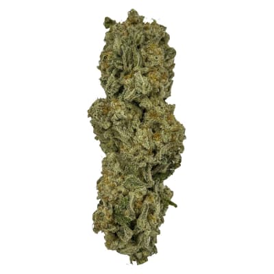 Mach Violator Amnesia Haze