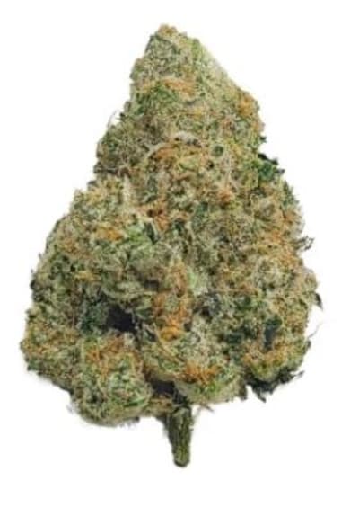 After Eighth Craft Flower