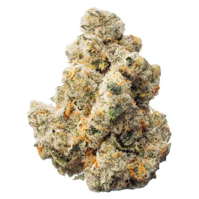 Blowfish - EastCann - Hybrid - Dried Flower