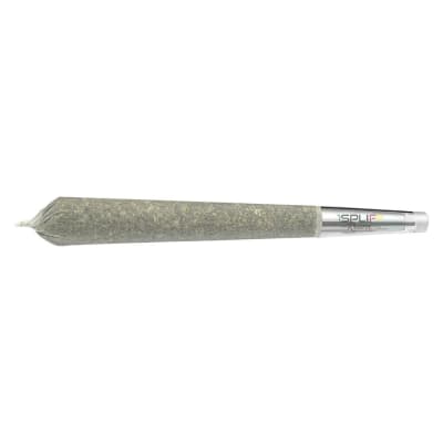 Hawaiian Snowcone [Premium Glass Tip] | 1Spliff | Sativa | 1x1g Pre-Roll
