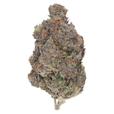 Pistol & Paris - Diablo - 7g Indica