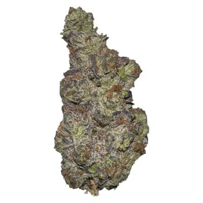 Queen of Tartz Flower - Sativa