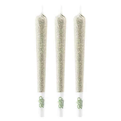 3x0.5g Rainbow Sherb Pre Rolls