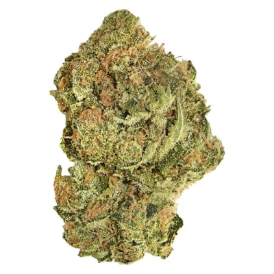 Brand New Buds 28g Dried Flower