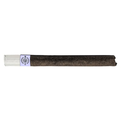 MILLRITE Lavender Haze Glass Tip Blunt - 1x1G