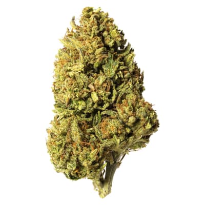 Bleuh Light - Bleuh - CBD - Dried Flower