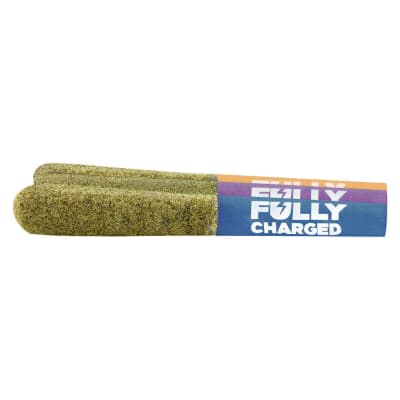 Fruit Surge Fully Charged Mixer Pack Infused Pre-Rolls - 3x0.5g Blend Distillate Infused