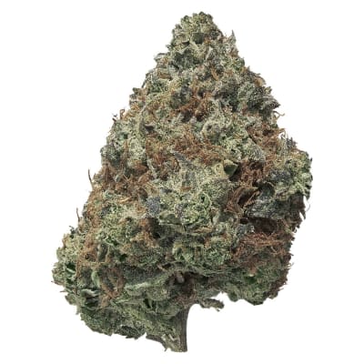 BC Organic Pink Drip