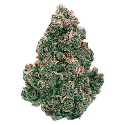 Liquid Imagination - 14g - 14g