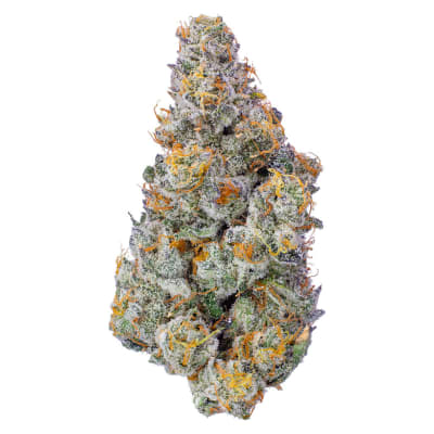 La Beatnik Flower - Indica