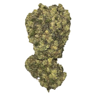 Quantum Haze - Strain Theory - Sativa - Dried Flower