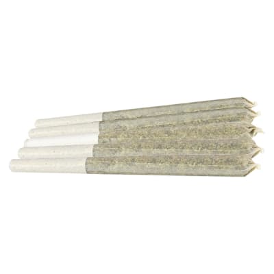 Watermelon Gushers - BC Breen - Hybrid - Pre-Roll 10x0.5g