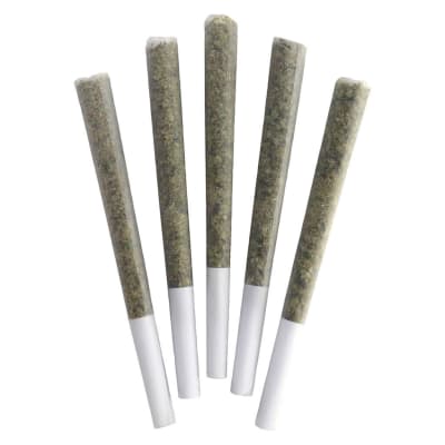 Marshmallow Mudslide Pre-Roll 5-pack