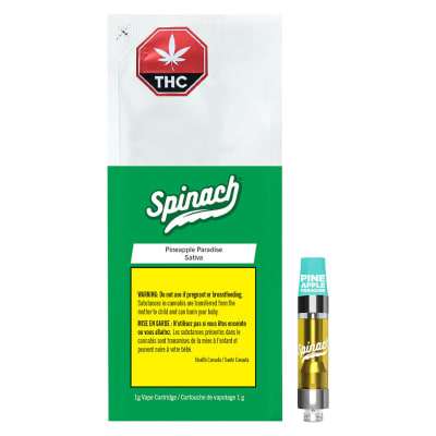 Pineapple Paradise 510 Cartridge | 1g