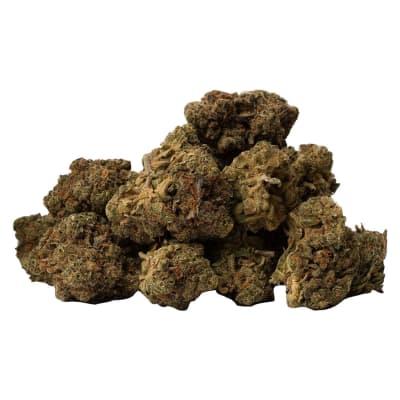 Multiverse - 14g Indica