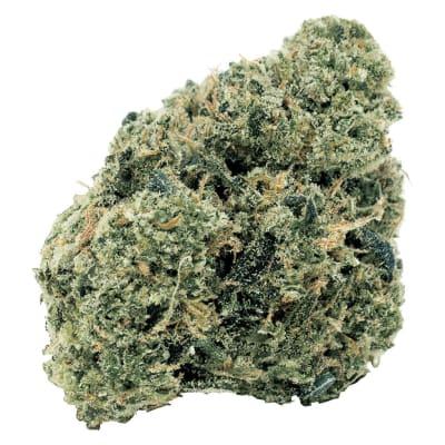 Northern OG Kush Dried Flower