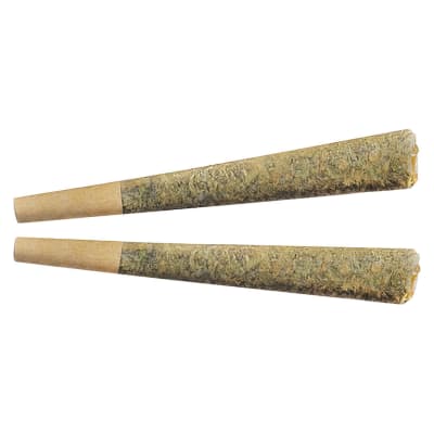 Fuego - Sunny Daze Pre-Rolls - 2x1g Sativa