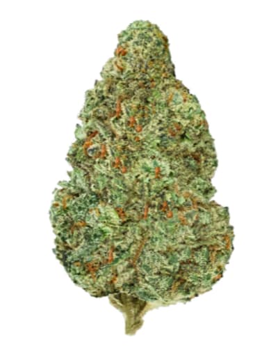 Chemzilla - Back Forty - Indica - Dried Flower