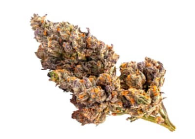 Sativa Bag - Baggies - Dried Flower