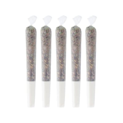 PINEAPPLE HAZE PRE-ROLLS - 2.5