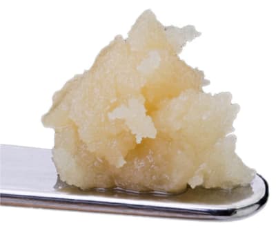 Seasonal Exotics Pack Live Rosin by Sauce Rosin Labs - Seasonal Exotics Pack Live Rosin