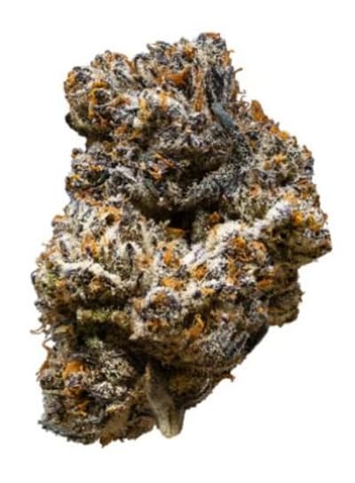 Truffle Jack Black Craft Flower