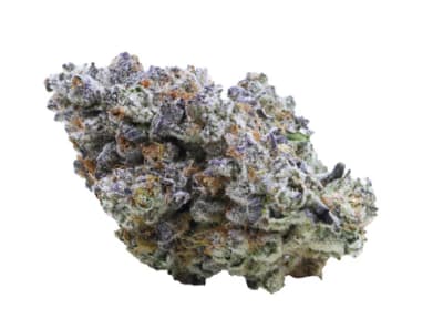 COSMIC CHERRY | COSMIC CHERRY - 28